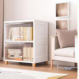 Big Cupboard-2 unit